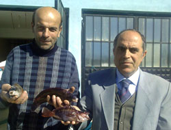 Balık Türleri Koruma Altında!