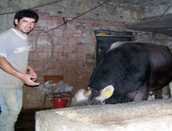 Rize'de Kurban Promosyonu