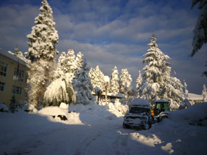 Rize'den Kar Manzaraları