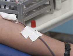 Akrabadan kan naklinde ölümcül tehlike!