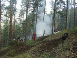 Orman İşçileriyle Köylüler Arasında Arbede