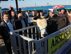 Rize'de Kurbanlık Denetimi