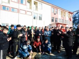 Yıldızlar Güreş Milli Takımı Tokat’ta Kampa Girdi