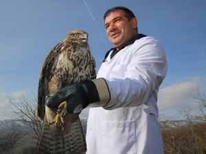 Ordu’da 330 Yaralı Yaban Hayvanı Tedavi Edildi