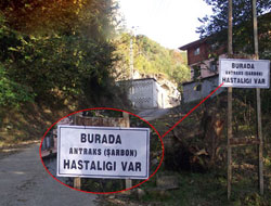 Rize`de Şarbon Karantinası