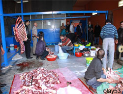 Bu Kişiler Kurban Keserse Cezalandırılacak