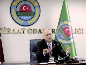 Ocak Ayında En Çok ’Maydanoz’ Mağdur Etti