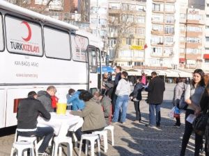 Lösemili Derya İçin Kuyruğa Girdiler