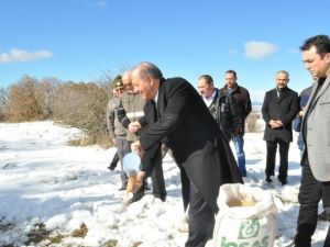 Çorum’da Yaban Hayvanları İçin Doğaya Yem Bırakıldı