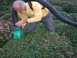 Rizeli Öğretmenden 'Çayjet' Devri