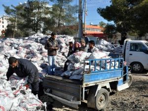 Akçakale’deki Suriyelilere Kömür Yardımı Yapılıyor