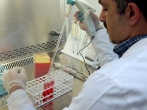 Çü’de Bilim İnsanları Yapay Kan Üretti