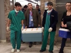 Koca Kurbanı Kadının Organları Başkalarına Hayat Verdi
