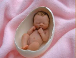 Demir eksikliği zeka düzeyini etkiliyor