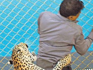 Leopar Okula Girdi, 6 Kişiyi Yaraladı