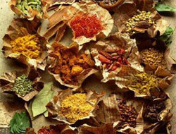 Kanser olmamak için okuyun!