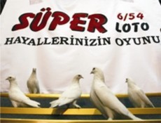 Süper Loto'da 2 kişiye rekor ikramiye