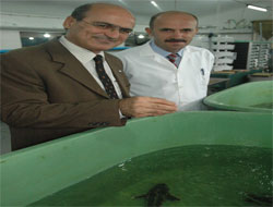 1. Hamsi Çalıştayı’nın sonuçları açıklandı