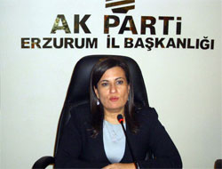 Anadolu Liseleri ikiye ayrılacak