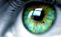 Gözleri Sinsice Kör Eden Hastalık !