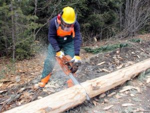Kastamonu Orman Bölge Müdürü Hüseyin Dinçer: