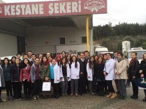 Gıda Bölümü Öğrencileri Kardelen’de