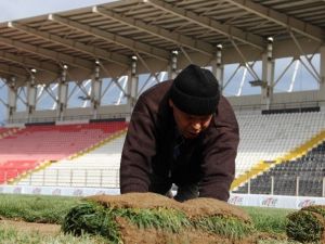 19 Mayıs Stadı Bakıma Alındı