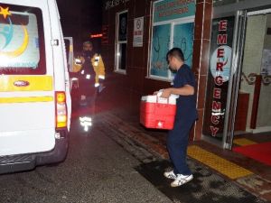 Alanya’da Organ Nakli