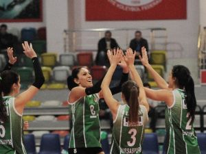Filenin Timsahları Kayıpsız