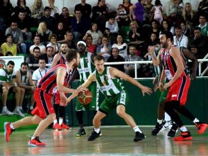 Spor Toto Basketbol Ligi