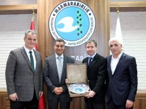 Marmarabirlik Doğal Zeytin Olgunlaştırma Tekniğini Dünyaya Anlatacak