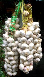 Gribe çare sarmısak