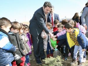 Tokat’ta “20 Bin Fidan 20 Bin Can” Projesi