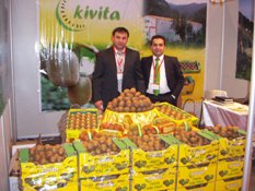 Kivita