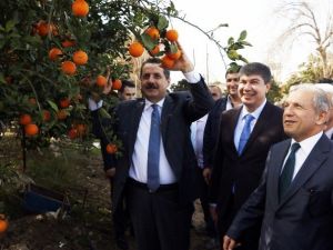Bakan Çelik’ten Et Fiyatları Ve Cerattepe Açıklaması