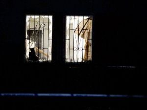 Stockholm’de Türk Kültür Derneğine Saldırı