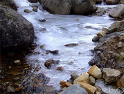 Rize'de Dereler Dondu