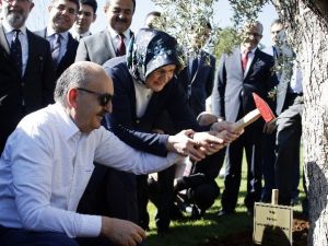 Bakan Müezzinoğlu’ndan Eşine 415 Yıllık Evlilik Yıl Dönümü Hediyesi