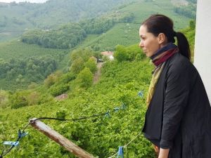 Ak Partili Karaaslan’dan Cerattepe Açıklaması