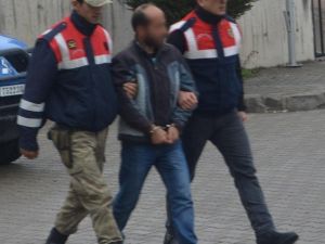 Ordu’da Fındık Hırsızlığı