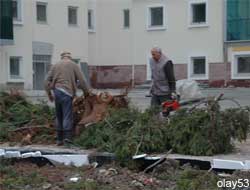 Hastane Önündeki Çamlar Kesildi