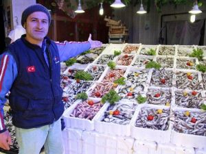 Havalar Isınınca Hamsi Soğuk Sulara Kaçtı