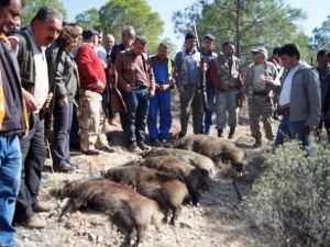 Mut’ta Yaban Domuzlarına Sürek Avı