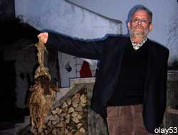 İneğin karnından 7 Kilo İp Çıktı