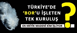 Türkiye'de BOR'u İşleyen Tek Grup