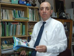 Türkiye’deki Ormanların Ekonomik Değeri Araştırıldı