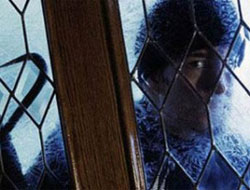 Gürcülerin Rize'de Vurgunları Bitmiyor!