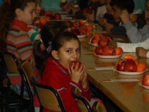 “Sağlıklı Meyve Tabağım” Etkinliği