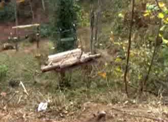 Kurnaz Rizeli Yine İşbaşında - VİDEO