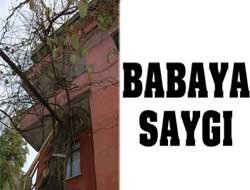 Ağacı Kesmeye Kıyamayınca...